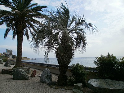 しぼりや 海 南知多町